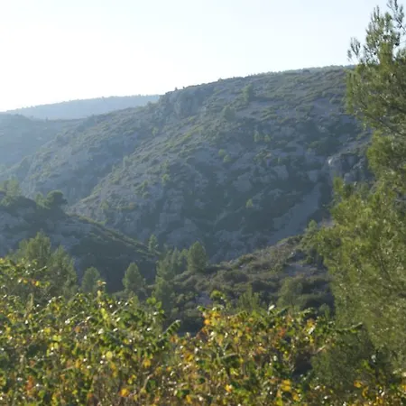 La Garrigue Panzió Cassis